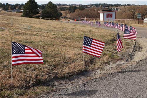 A field of flags honored veterans at EMS the week of Nov. 6